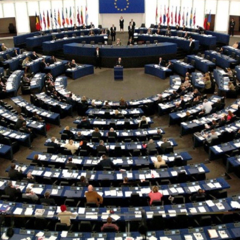 Gürcüstan hakimiyyəti legitim deyil – Avropa Parlamenti